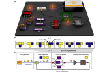 Unleashing Photonic Computing Potential Through Artificial ‘Life’